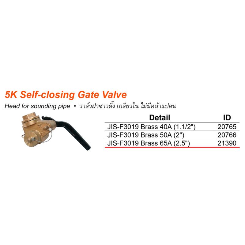 วาล์ว ฝาซาวดิ้ง ทองเหลือง Self closing gate valve head JIS-F3019 Brass เกลียวใน 2.5" BSP - Image 2