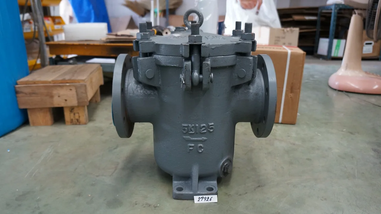 กรอง Marine Can water filter, cast iron F7121 5K-125A (5