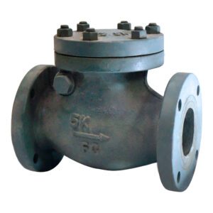 วาล์วกันกลับ Swing check v/v JIS F-7373, 10K 65mm เหล็กหล่อ