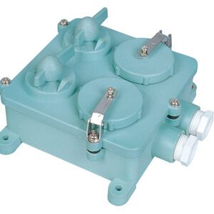 ปลั๊ก (2Recptacle + 2Switch) 3Pin