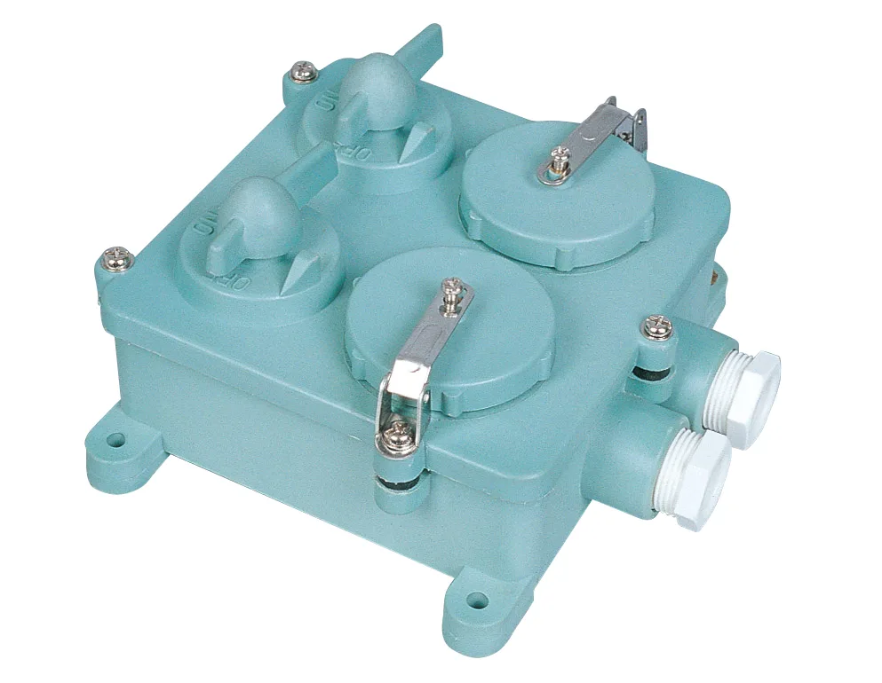 ปลั๊ก (2Recptacle + 2Switch) 3Pin