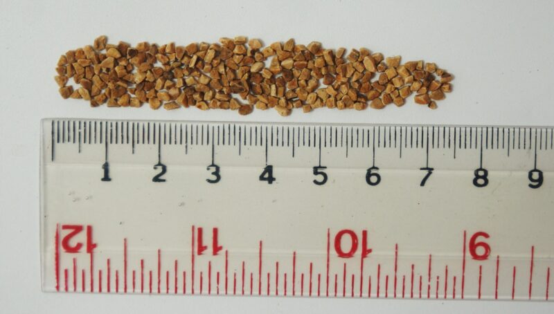 เปลือกวอลนัท WALNUT SHELL DRY GRIT #14 1190-1680 MICRON 20KGS