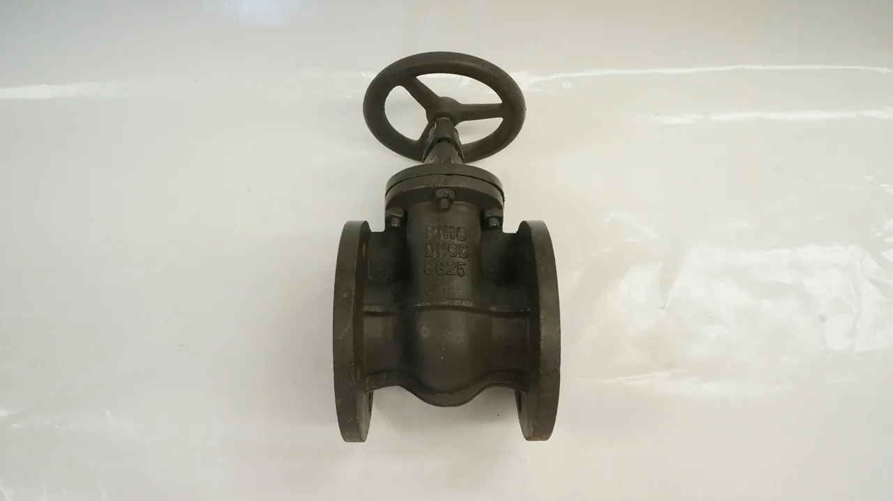 วาล์วประตู เหล็กหล่อ Non-Rising Stem PN16 - 65A