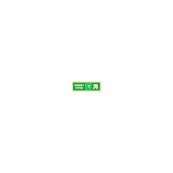 ป้าย [334323] SIGN PHOTO ILLUMINESCENT DIRECTION SIGN ASSEM. STATION/ ARROW 45DEG UP(R) 100X300MM