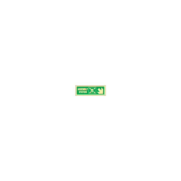 ป้าย [334327] SIGN PHOTO ILLUMINESCENT DIRECTION SIGN ASSEM. STATION/ ARROW 45DEG DOWN(R) 100X300MM