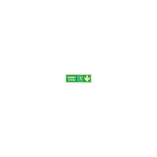 ป้าย [334329] SIGN PHOTO ILLUMINESCENT DIRECTION SIGN ASSEM. STATION/ ARROW DOWN 100X300MM