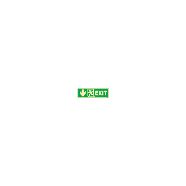 ป้าย [334408] SIGN PHOTO ILLUMINESCENT DIRECTION SIGN ARROW DOWN/EXIT (L)150X400MM