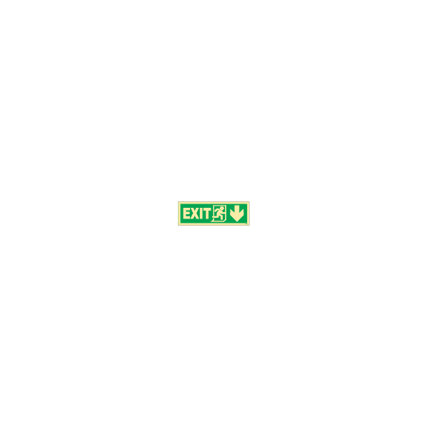 ป้าย [334409] SIGN PHOTO ILLUMINESCENT DIRECTION SIGN EXIT(R)/ARROW DOWN 150X400MM