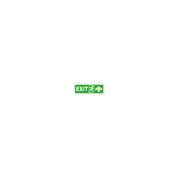 ป้าย [334401] SIGN PHOTO ILLUMINESCENT DIRECTION SIGN EXIT(R)/ARROW UP 100X300MM
