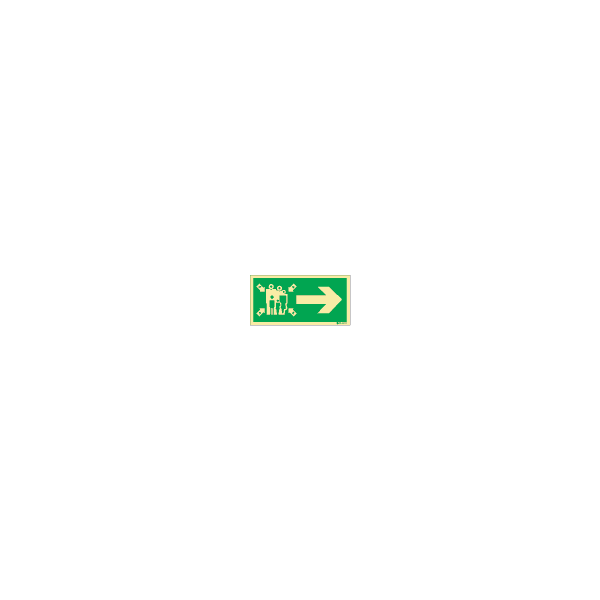 ป้าย [332381] SIGN PHOTO ILLUMINESCENT LLL SIGN ASSEMBLY STATION SIGN ARROW RIGHT 50X100MM (แบบใหม่)