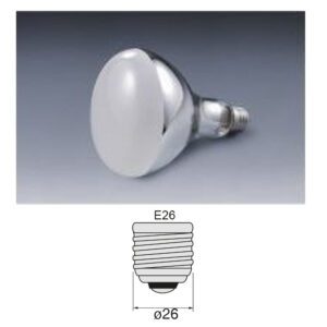 หลอดไฟ RF E-26 110V 200W